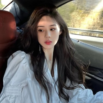 挪威的抵抗